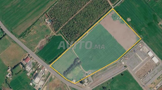 AV - Terrain de 10 ha | Emplacement stratégique