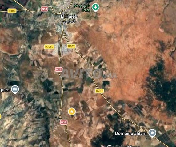 Terrain à vendre 3Ha Titrée à 5 minutes d'El Hajeb