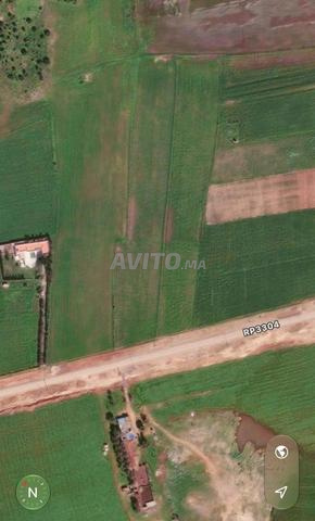 Terrain agricole titré 1.86H sur route RP3304