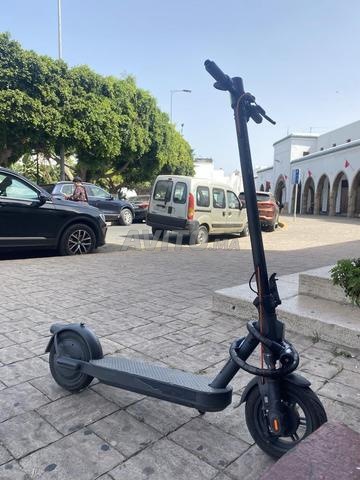 سكوتر شاومي الكهربائي Elite