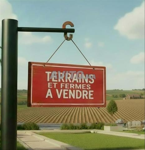 Terrain à vendre d'une superficie de 30 000 mètres sur une route côtière