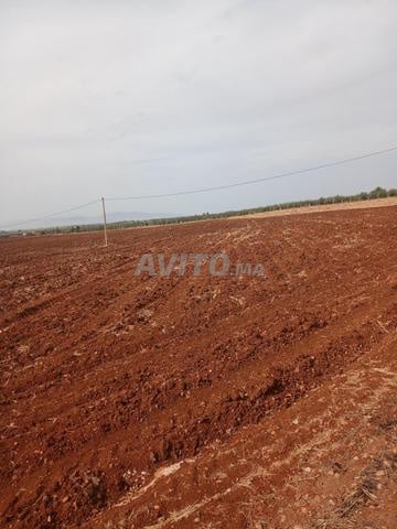 Terrain à vendre à Hajeb