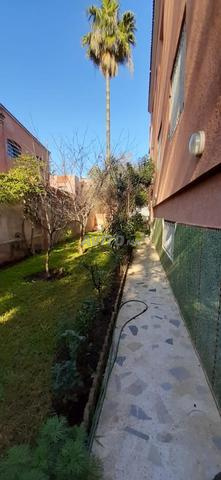 Villa 3 façades, 434m², emplacement commercial de premier ordre - 2