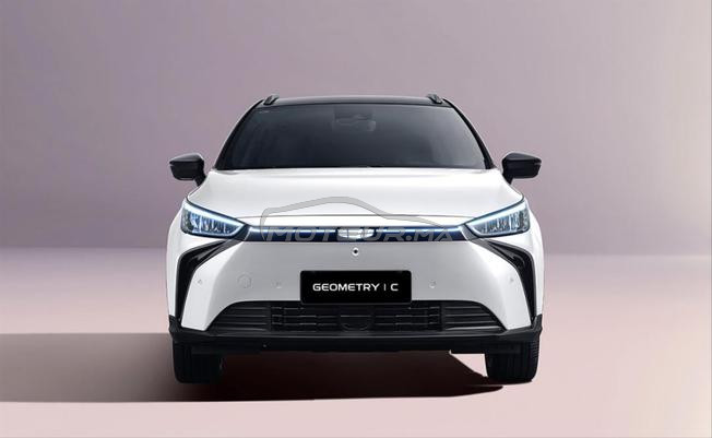 Geely geometry C