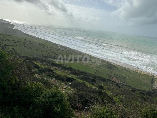 Terrain direct sur mer - 2