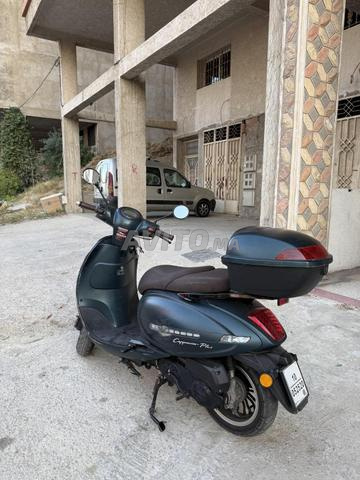 كابتشينو موديل 2024 - 2