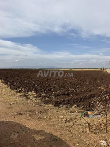 8 hectares à vendre - 2