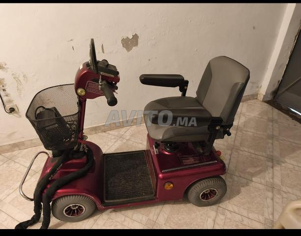 سكوتر المعاقين