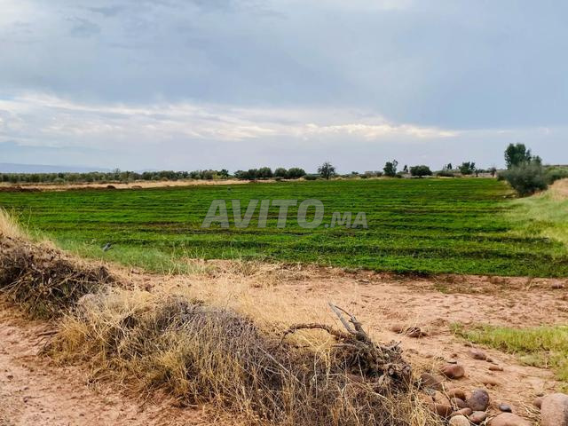 أرض للبيع مسجلة بمساحة 13900 متر مربع - 2