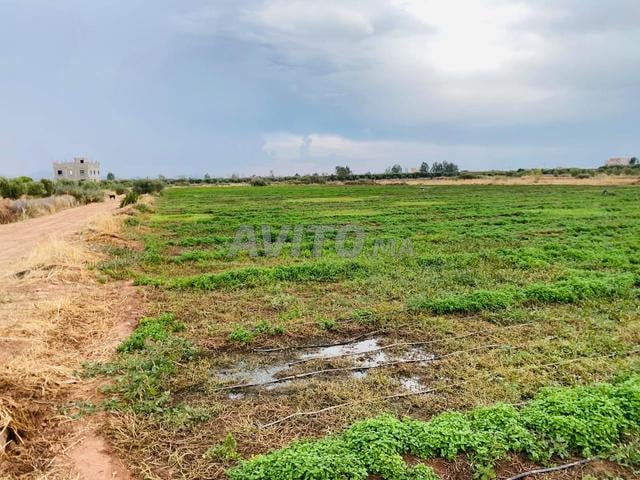أرض للبيع مسجلة بمساحة 13900 متر مربع