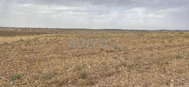 Terrain agricole privé à vendre dans la commune de Sidi Dahaj - 2