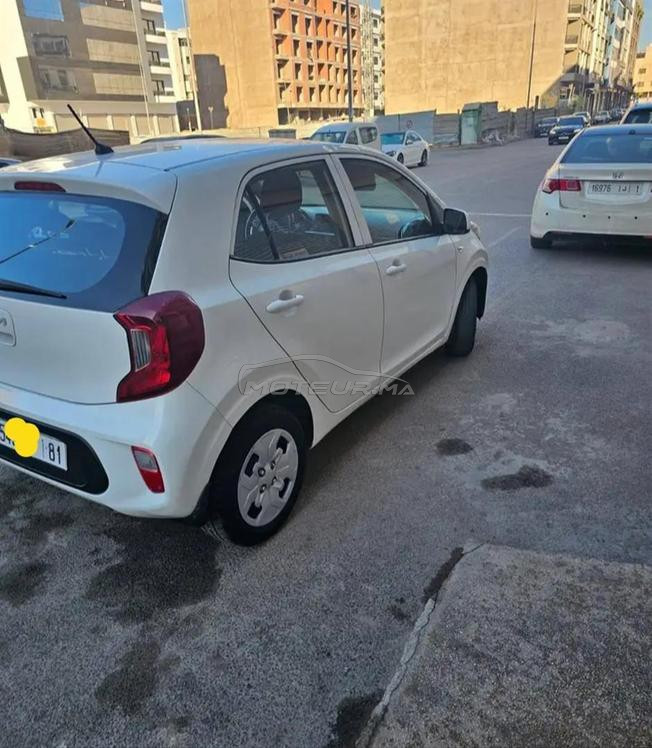 kia Picanto 