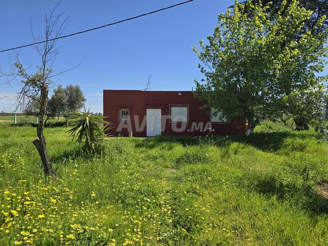 Ferme à vendre équipée de 14 écuries pour chevaux et d'une nouvelle maison - 2