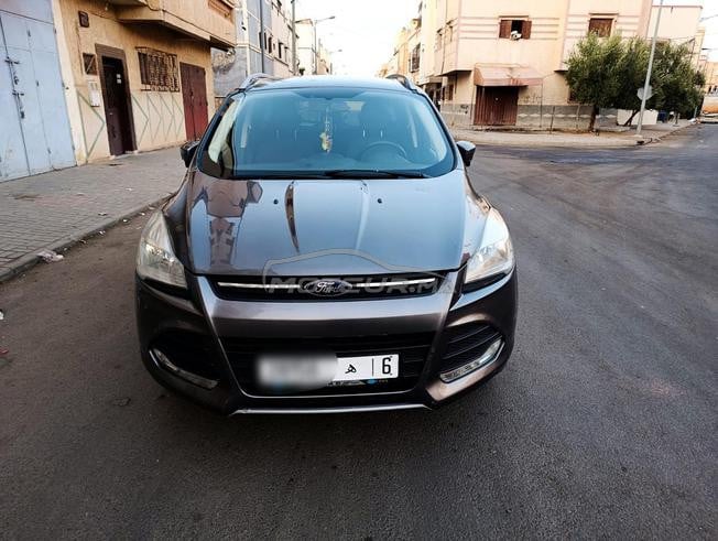 فورد كوكا العامرة 2014