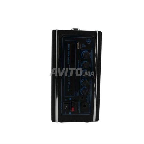 Amplificateur portable K2 - 2