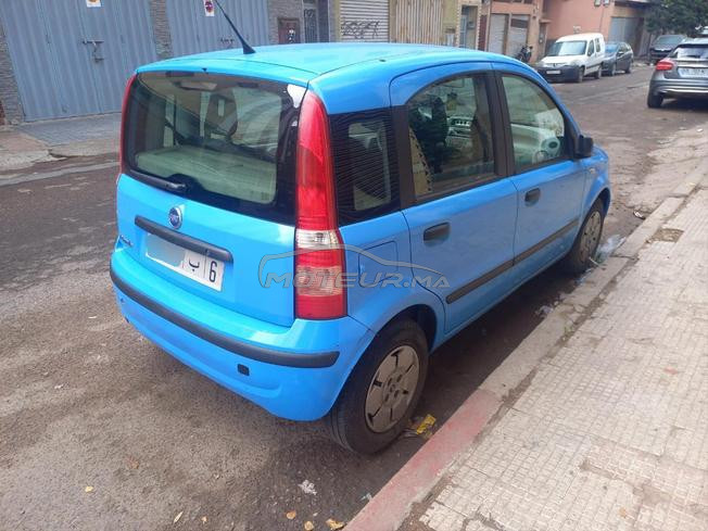 fiat panda