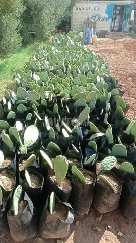 مرحباً بكم لدينا في المزرعة - 2