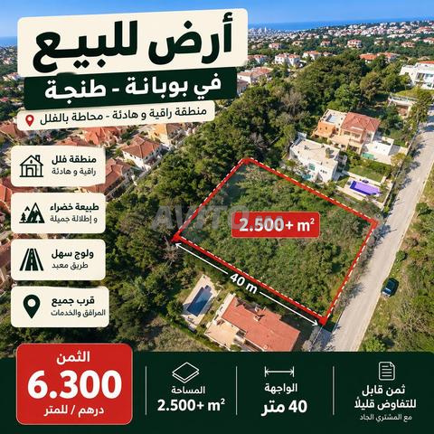 Terrain titré de 2 500m² à vendre à Boubana Tanger