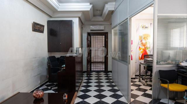 saroute garçonnière bureau avenue med 5 - 2
