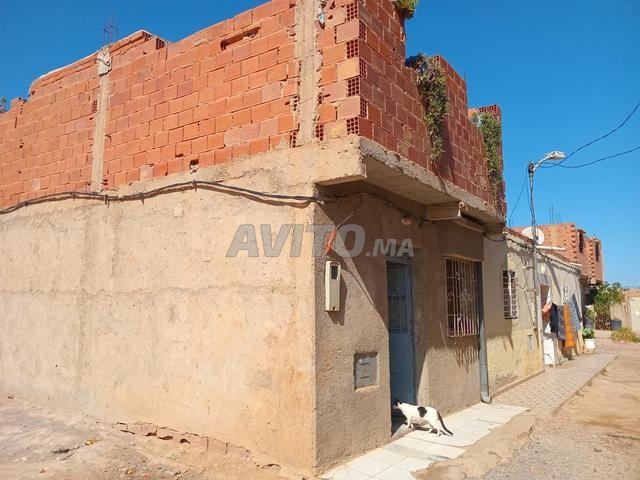 دوار أولاد عياد، أهل أنجاد، جوج بغال بمدينة وجدة. - 2