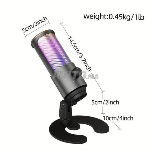 microphone professionnel - 2