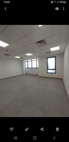 Plateau bureau 80 m² – Avenue Idriss Ier - 2