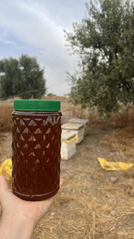 عسل حر من قلب عين البيضاء 100% - 2