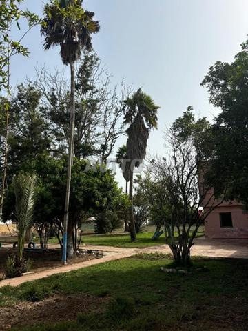 مزرعة مسجلة للبيع - 2