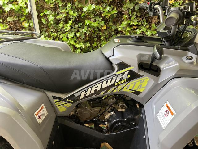 Quad hawk 200 lpr - 2