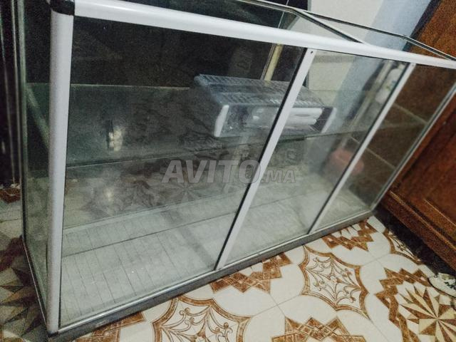 Vitrine en verre - 2