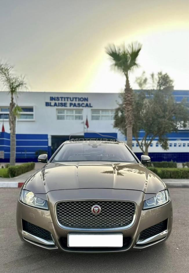 jaguar XF 2016