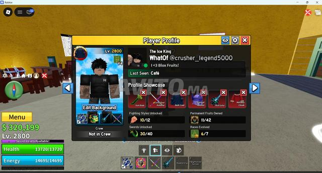 Compte Blox Fruits Perm DRAGON LVL 2800 - 2
