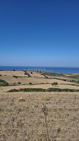Terrain enregistré à vendre avec une vue magnifique sur la mer - 2