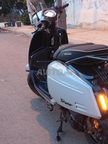 Vente de moto Torino Picanto - 2