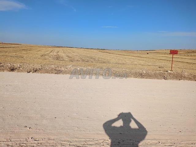 Terrain agricole titré à vendre - 2