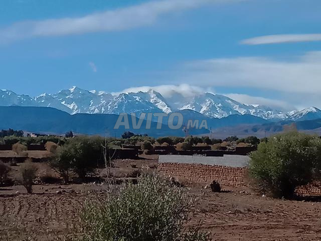 Terrain guiche à 17km de Chrifia Marrakech