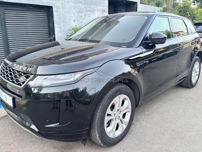 bb velar 21