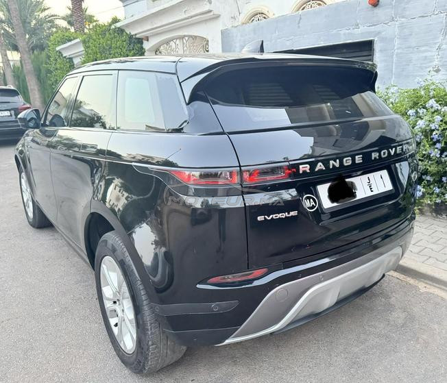bb velar 21