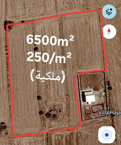فرصة لا تعوض - 2