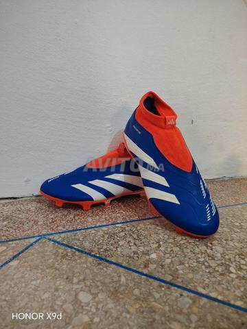 Predatore pro - 2