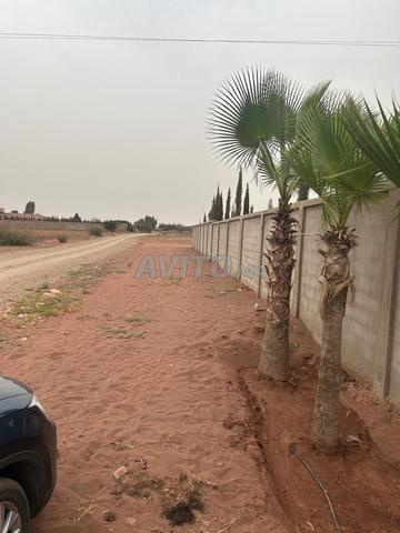 أرض مساحتها 4000 متر مربع مسجلة ولها رخصة بناء في إيسن