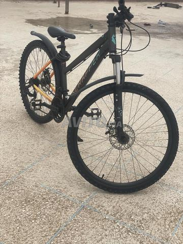 Vélo - 2