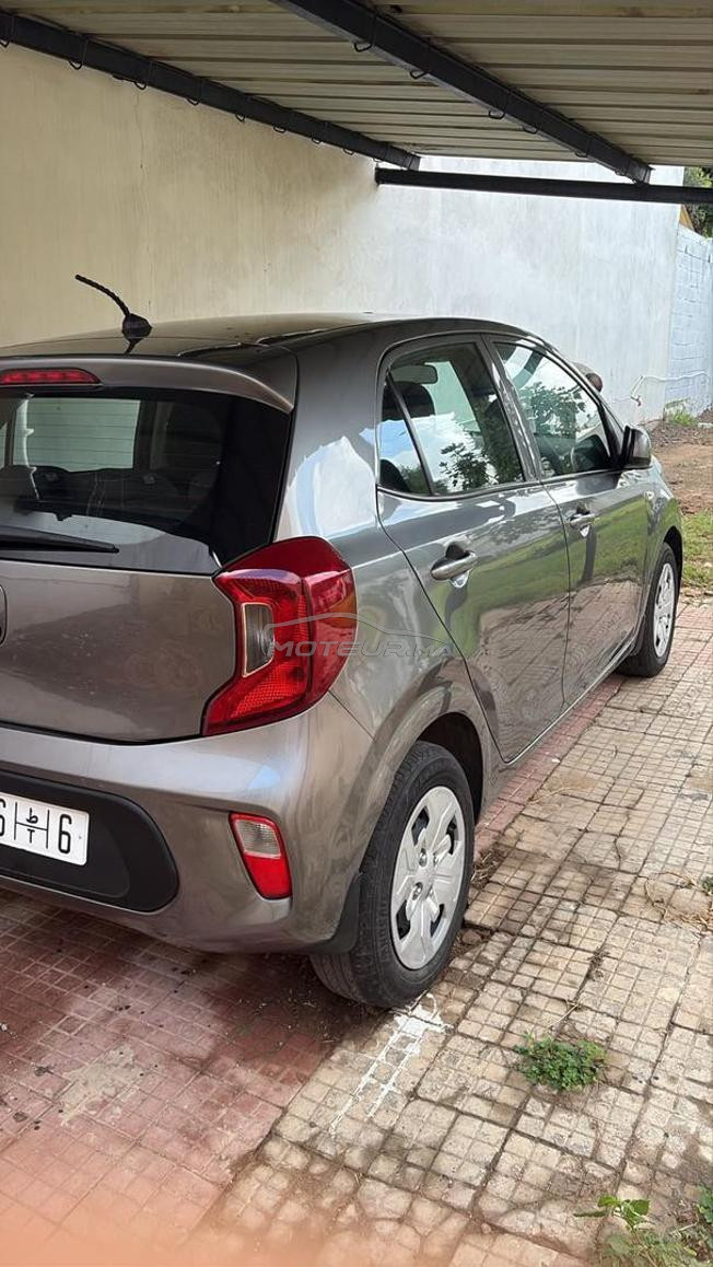 kia picanto