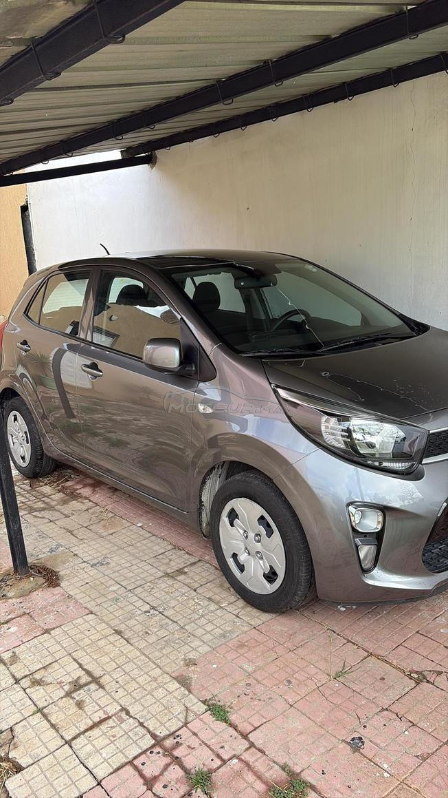 kia picanto