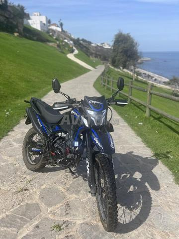 Coper cros modèle 2026 - 2