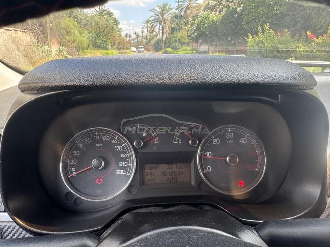 Fiat Punto مازوط للبيع 🚗