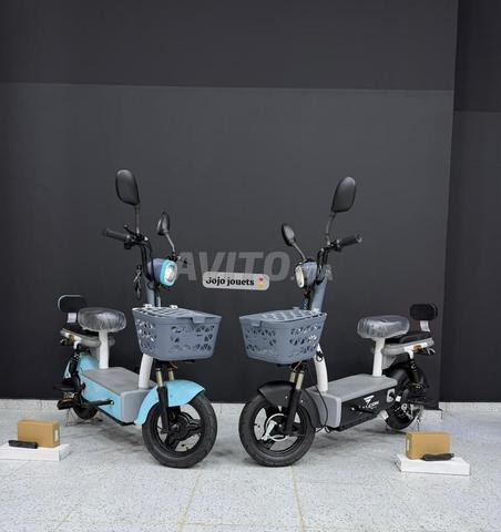 Moto électrique FALcon Ride 48V - 2