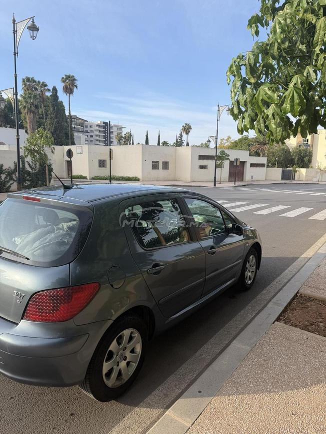 307 peugeot 