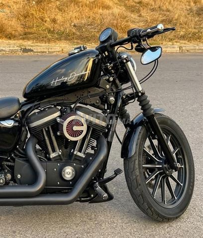 Harley Iron 883 modèle 2019