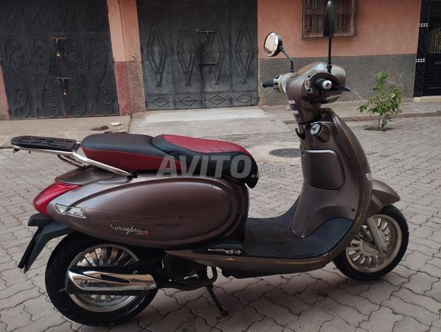 Scooter Cappuccino - 2